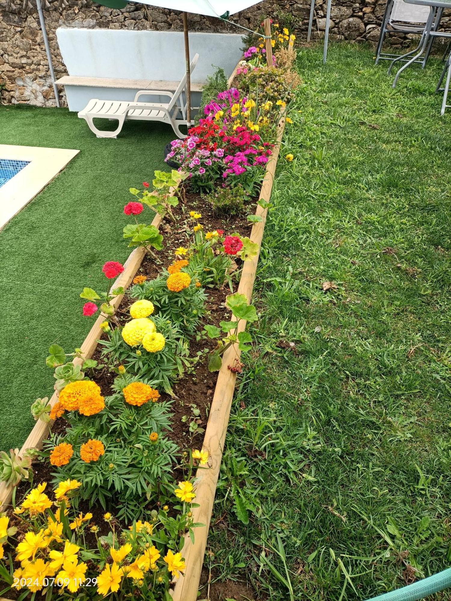 ואלה דה קאמברה Areias Village מראה חיצוני תמונה